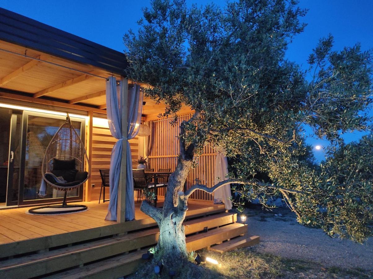 Zen Zone Premium Mobile Home Drage Exterior photo